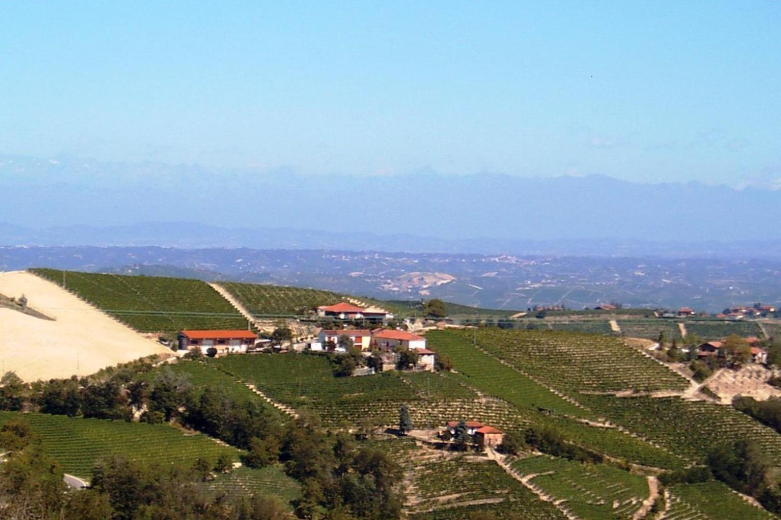 Agriturismo Finestre Di Langa Trezzo Tinella Eksteriør bilde