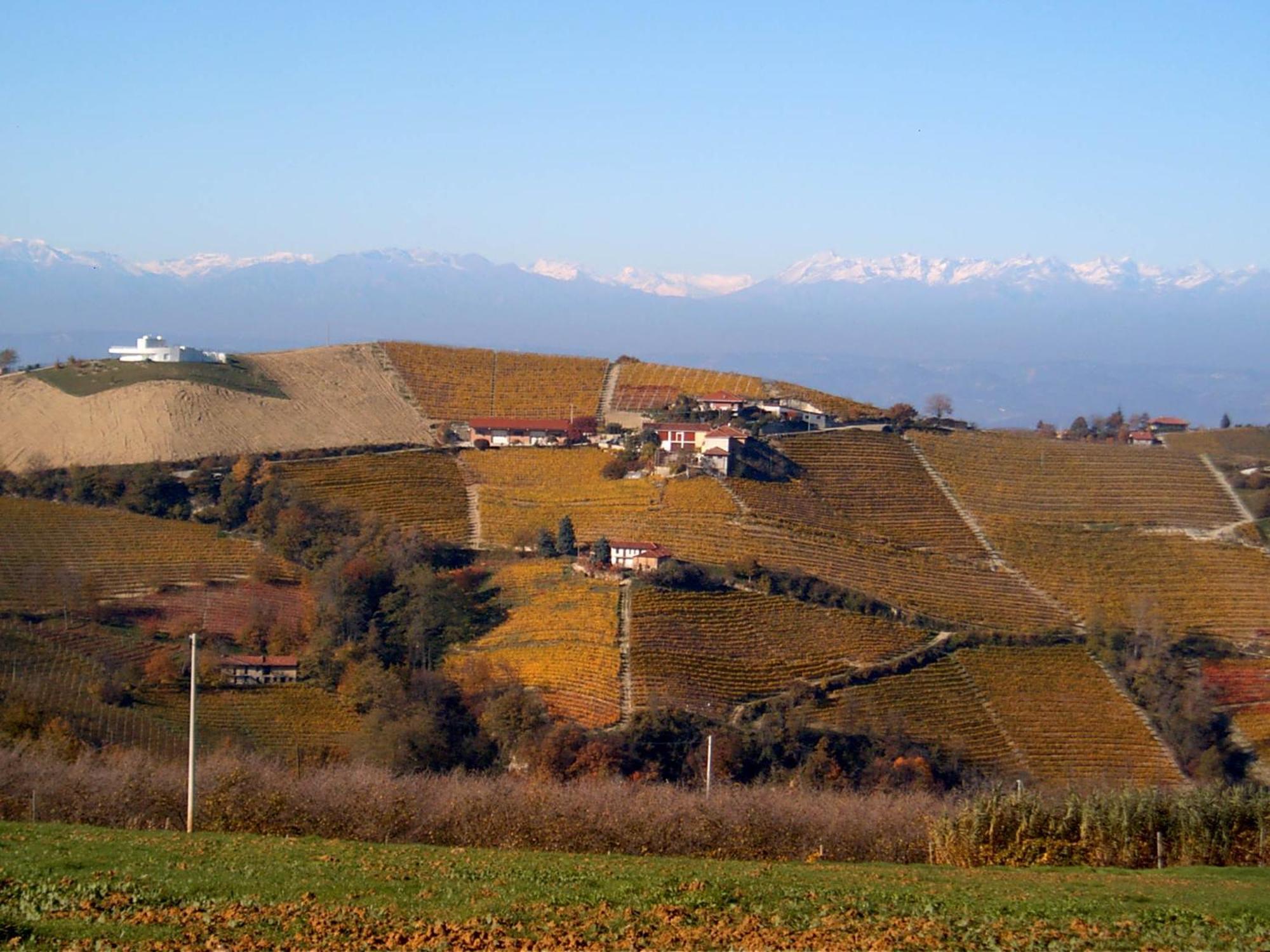 Agriturismo Finestre Di Langa Trezzo Tinella Eksteriør bilde