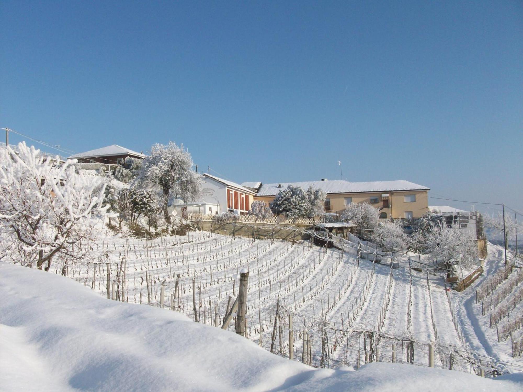 Agriturismo Finestre Di Langa Trezzo Tinella Eksteriør bilde